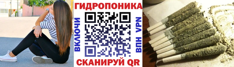 darknet клад  Ковров  Каннабис гибрид  наркота 